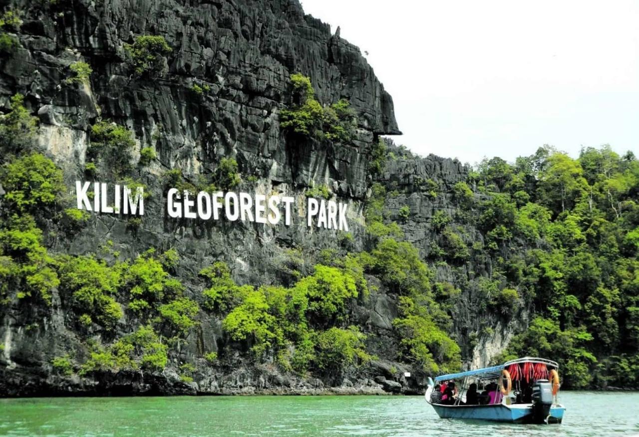 Jelajahi Ekosistem Bakau Langkawi yang Eksotis dengan Mangrove Tour Langkawi